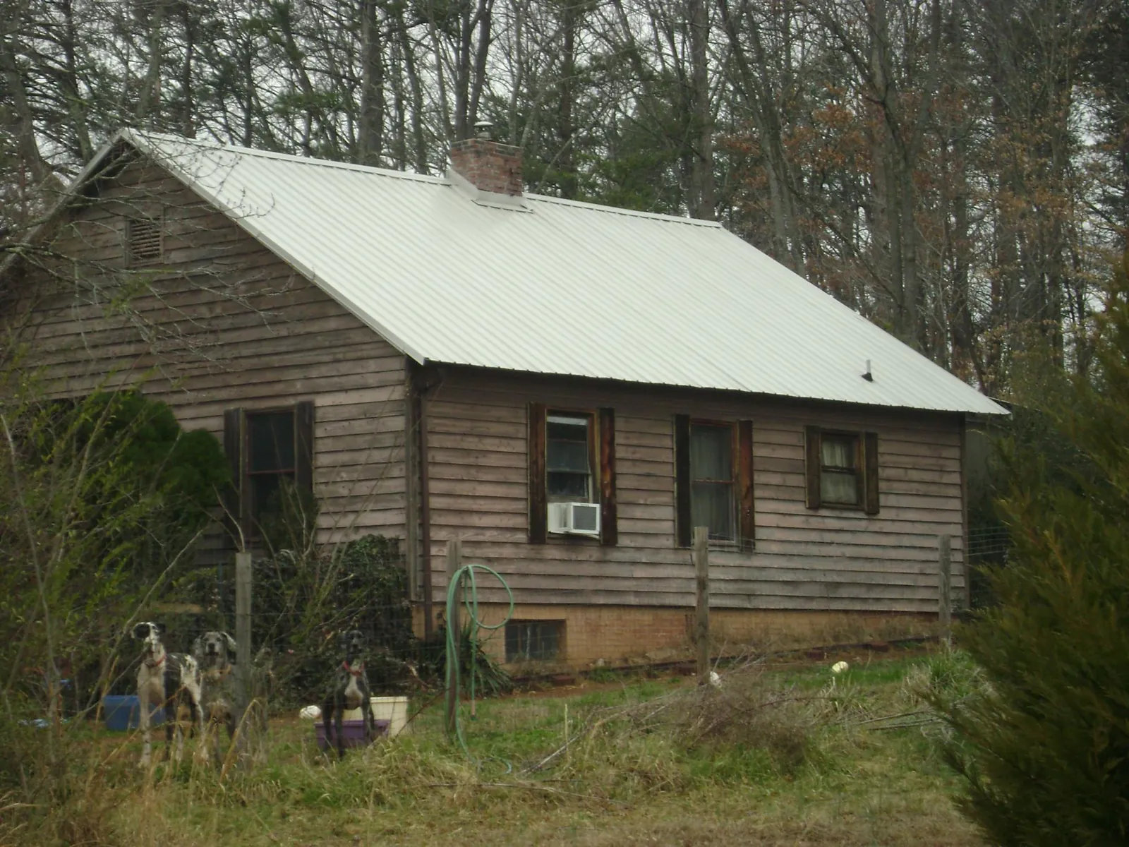 White metal roof on an old wood sided farmhouse, from a Asphalt Shingle Roof Repair job in Pollock